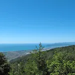 Le Ortensie By Interhome Casa vacanze Montignoso